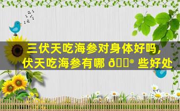 三伏天吃海参对身体好吗,伏天吃海参有哪 💮 些好处